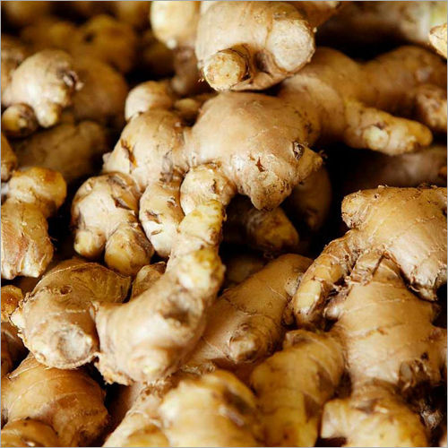 Fresh Ginger