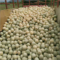 Fresh Muskmelon