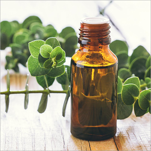 Eucalyptus Oil