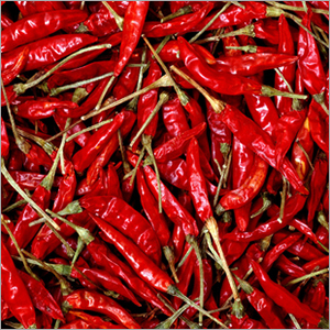 Dry Red Chilli