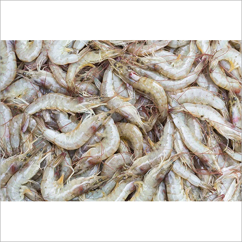 Farm Fresh Prawns