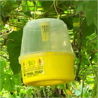 Insect Traps 