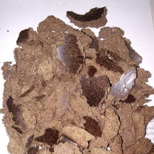 Palm Kernal oil cake