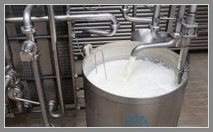 Stainless Steel Milk Boiling Process