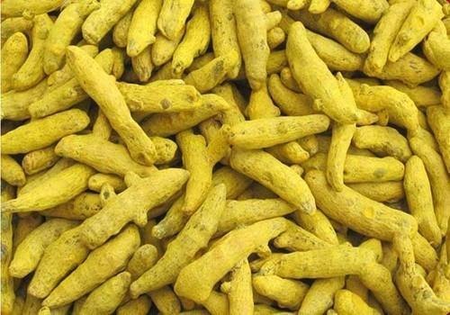 Turmeric Fingers