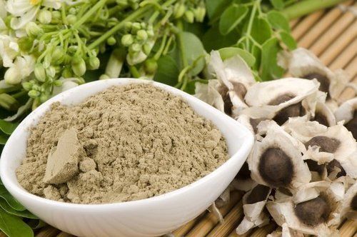 Moringa Oliefera Extract