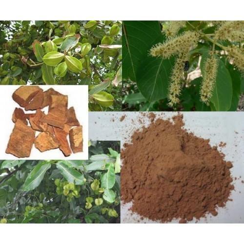 Terminalia Arjuna Extract
