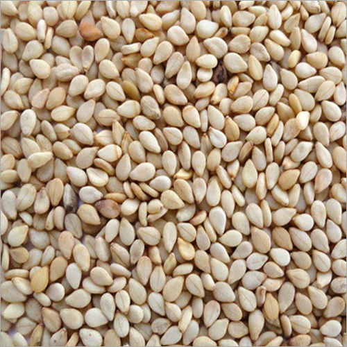 Fresh White Sesame Seeds 