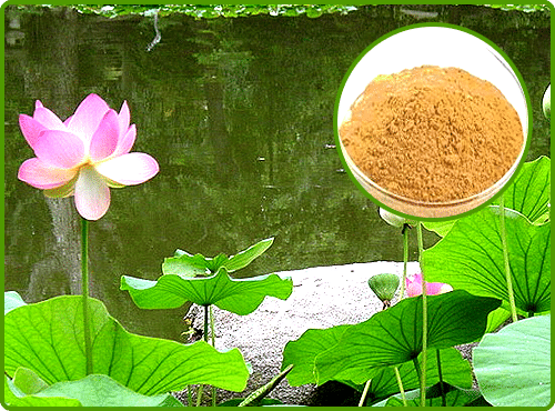 Kamal / Padda kasta (Aqueous Soluble)