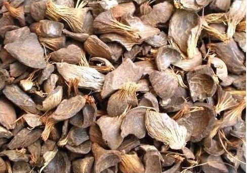 Quality Pure Palm Kernel Shell for Sale By MINI CAM AGRO COMPANY LIMITED