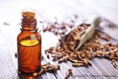 Clove Oil