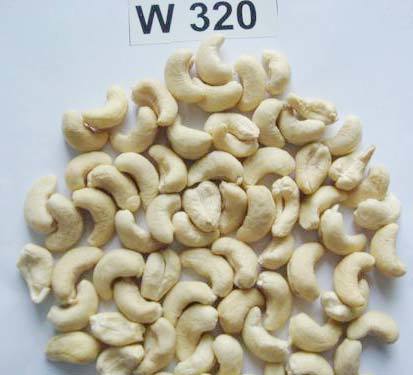 W320 Cashew Nuts By SELLVE CASHEWS