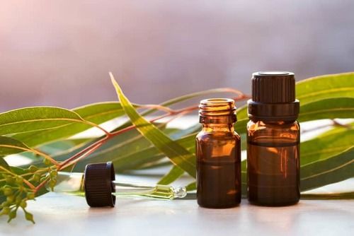 Eucalyptus Essential Oil