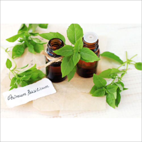 Basil Essential Oil Direction: Keep Out Of Reach Of Children