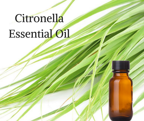 Citronella Essential Oil Direction: Keep Out Of Reach Of Children