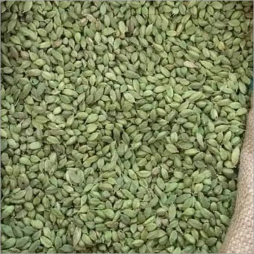 Organic Fresh Green Cardamom