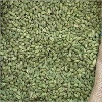 Organic Fresh Green Cardamom