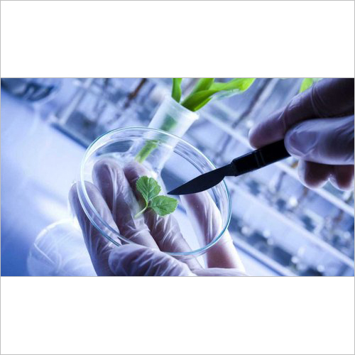 Polyurethanes Systems