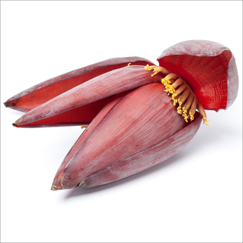Fresh Banana Flower For Cooking