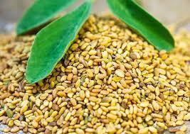 Methi (Oil Soluble)