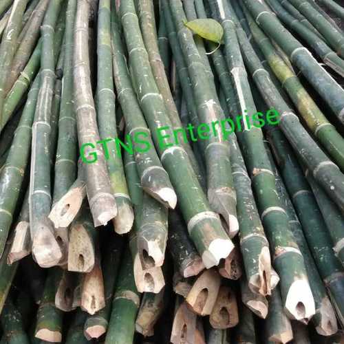 20' Bamboo Pole