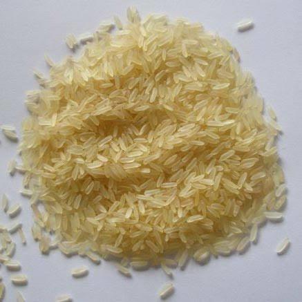 PR 47 Non Basmati Rice