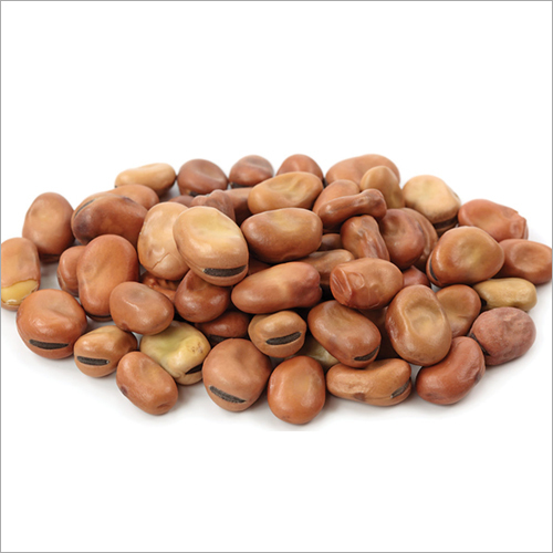 Fava Beans By HEMP FARM SALES