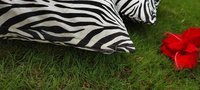 Kirti Finishing  White Tiger Print Cotton Cushion Cover 16 inches Set of 5