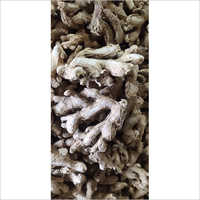 Dry Ginger