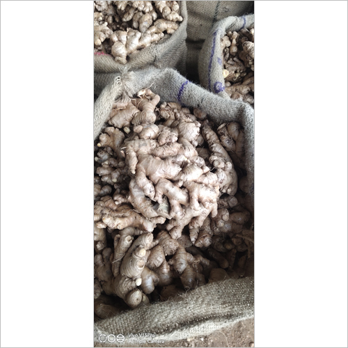 Dehydrated Organic Dry Ginger