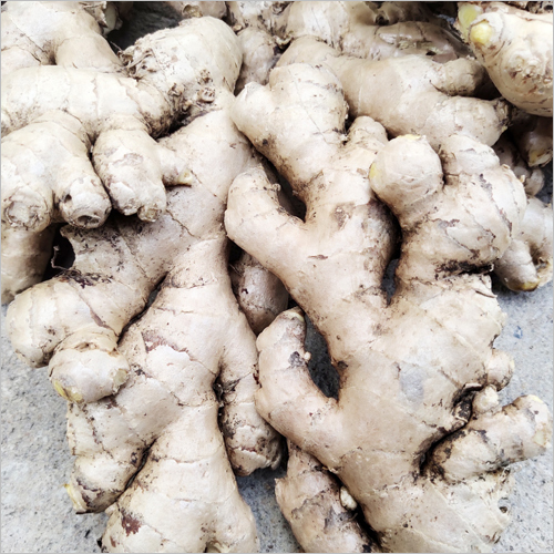 Fresh Brown Dry Ginger