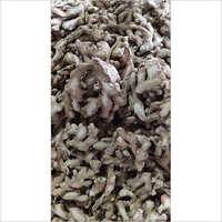 Dry Ginger