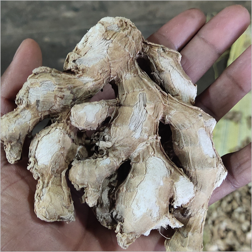 Fresh Dry Ginger