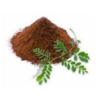 Phyllanthus Amarus Extract By KUBER IMPEX LTD.