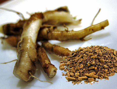 Dandelion Root Extract