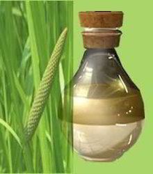 Acorus Calamus Oil