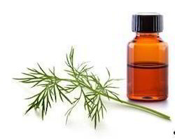 Essential Medicine Oils