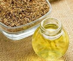 Carum Carvi Oil