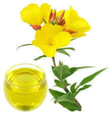 Oenothera Biennis Oil