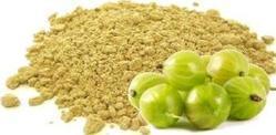 Spray Dried Amla Powder