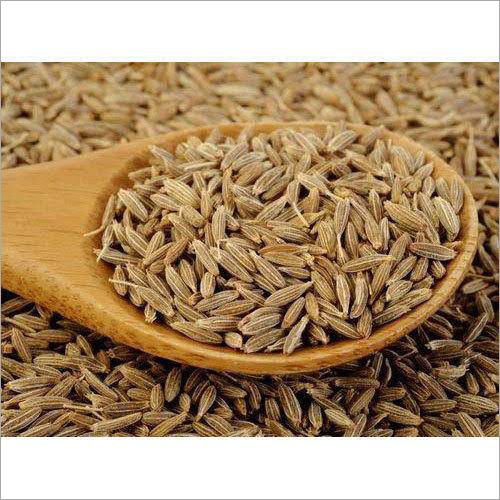 Cumin Seeds Grade: Spice