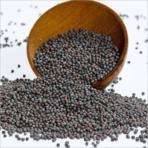 Black Mustard Seeds Grade: Spice