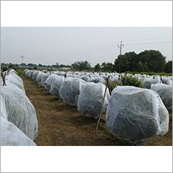 White Agriculture Crop Cover