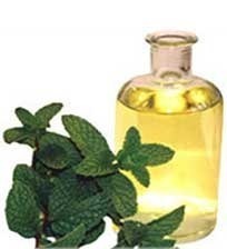 Mentha Citrata Oil By KUBER IMPEX LTD.