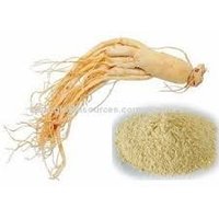 Panax Ginseng Extract