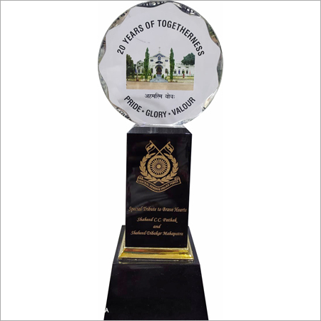 Available In Different Shapes Customized Acrylic Trophy For Award Ceremony