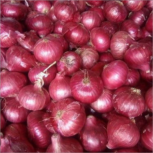 Red Onion