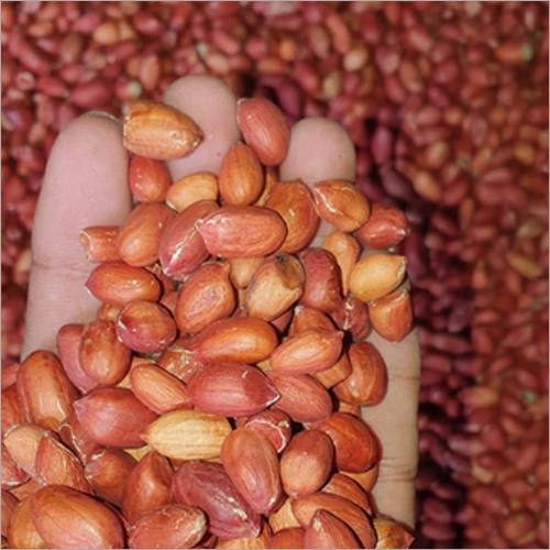 Bold Peanuts By PATEL EXPORT INDUSTRIES