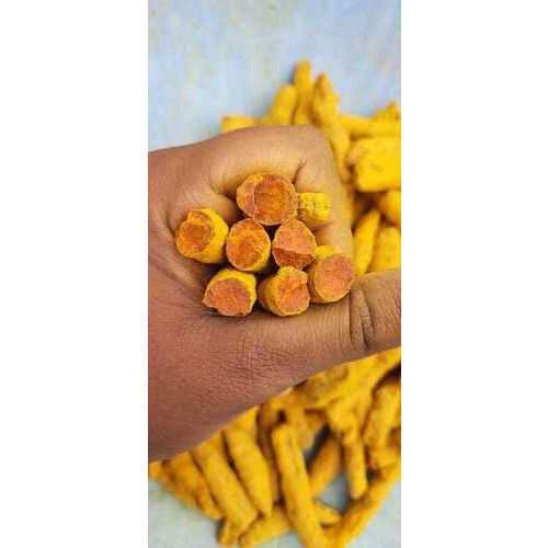 Turmeric Finger - Color: Yellow