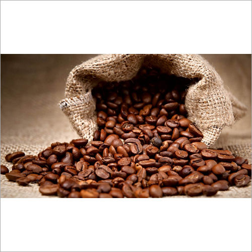 Raw Common Coffee Bean global wholesale market price today